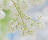 商標(biāo)被駁回，被異議，提供什么證據(jù)好用